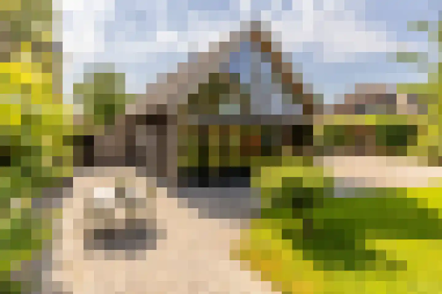 's-Gravenweg 240 Nieuwerkerk aan den IJssel thumbnail 53