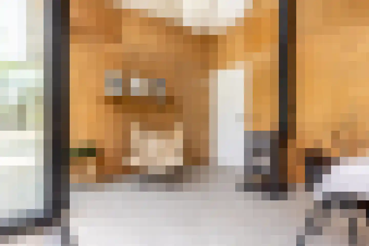 's-Gravenweg 240 Nieuwerkerk aan den IJssel thumbnail 55