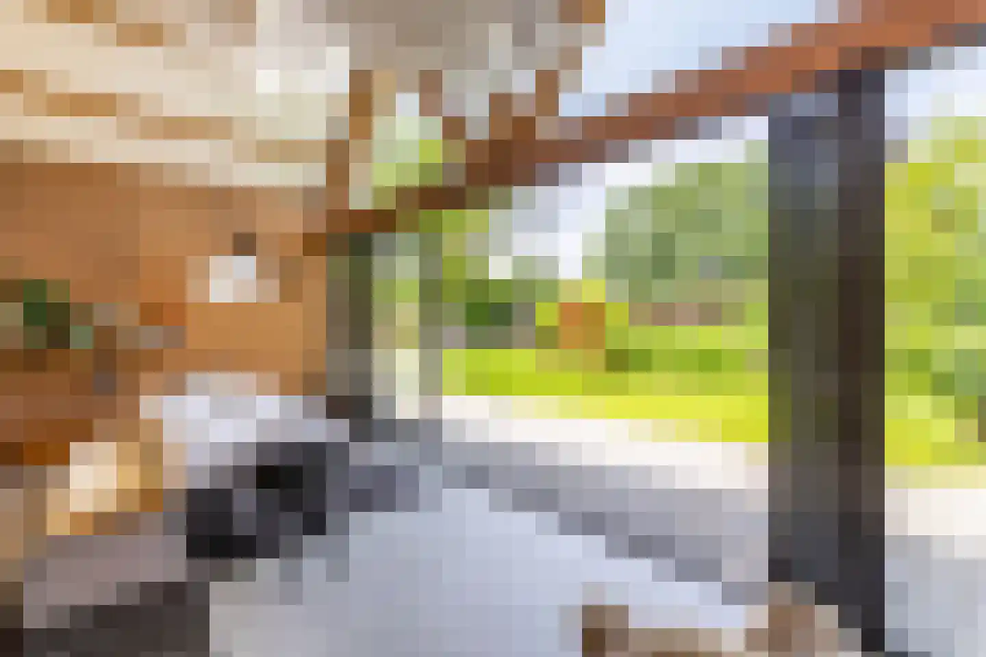 's-Gravenweg 240 Nieuwerkerk aan den IJssel thumbnail 56
