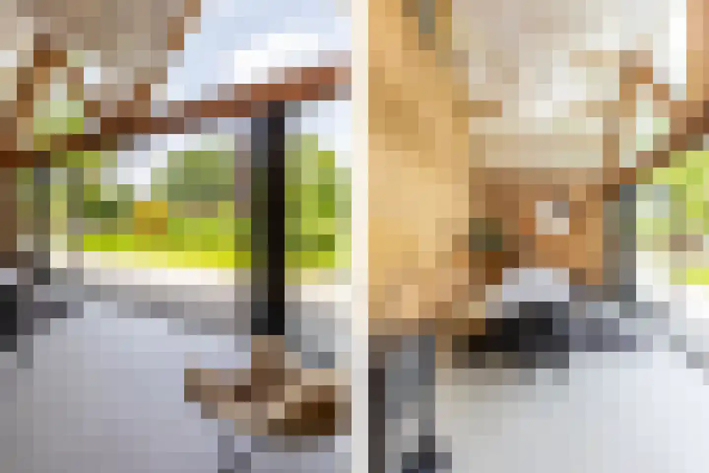 's-Gravenweg 240 Nieuwerkerk aan den IJssel thumbnail 57
