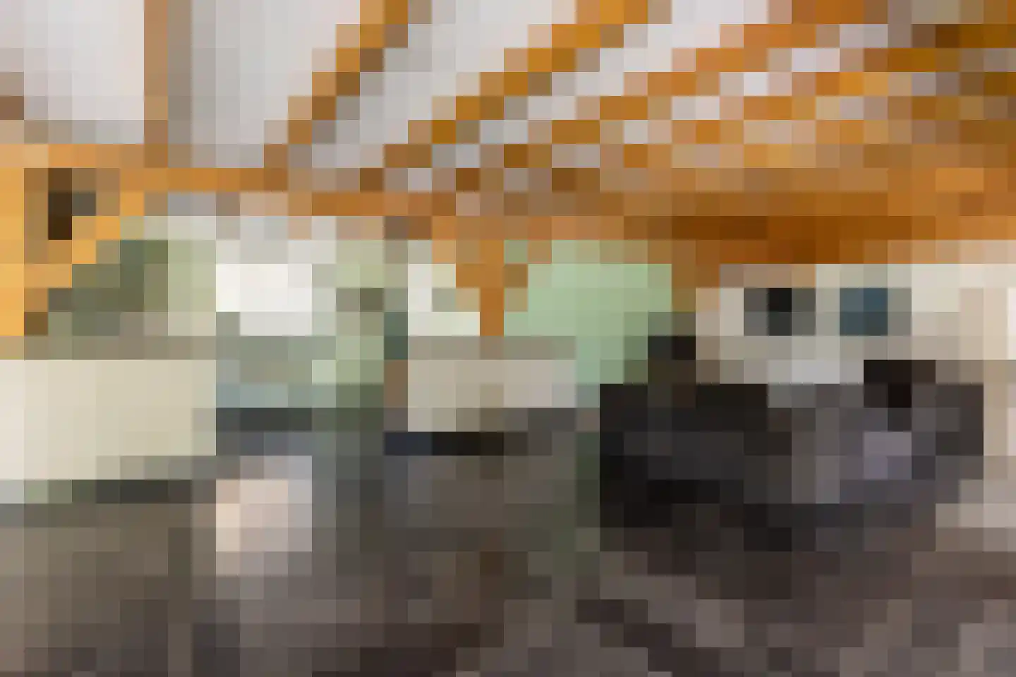 's-Gravenweg 240 Nieuwerkerk aan den IJssel thumbnail 6