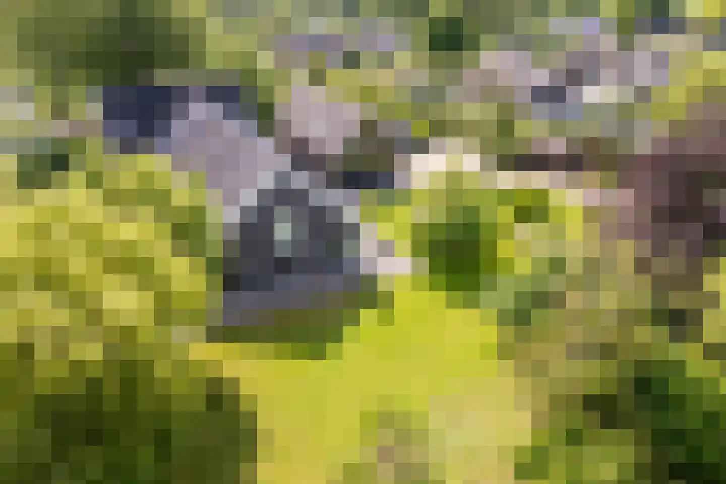 's-Gravenweg 240 Nieuwerkerk aan den IJssel thumbnail 65