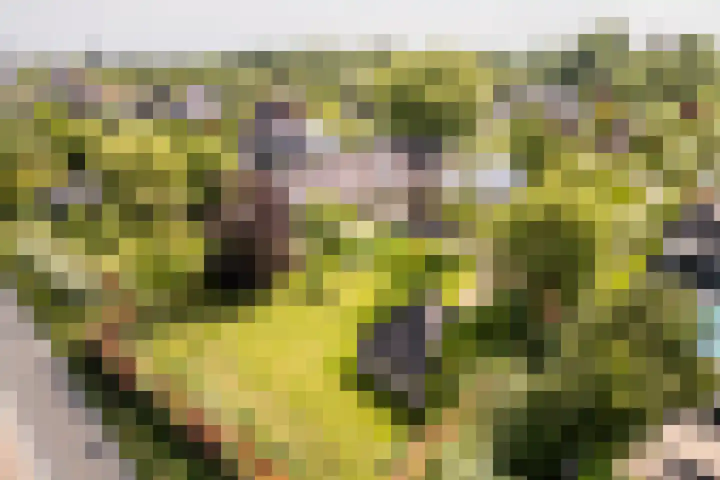 's-Gravenweg 240 Nieuwerkerk aan den IJssel thumbnail 69