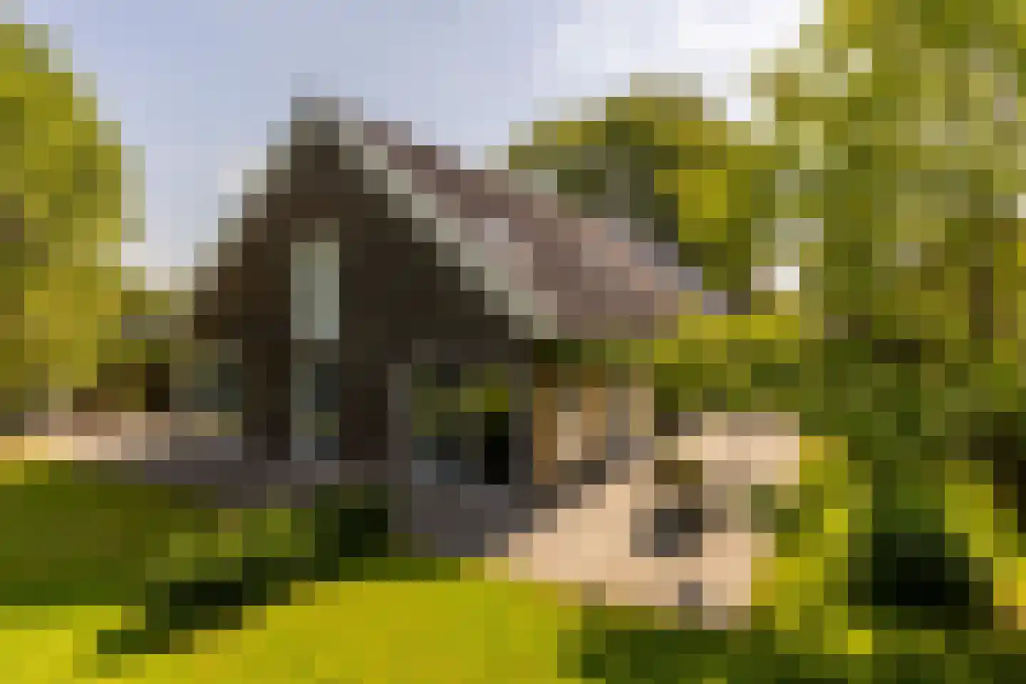 's-Gravenweg 240 Nieuwerkerk aan den IJssel thumbnail 7