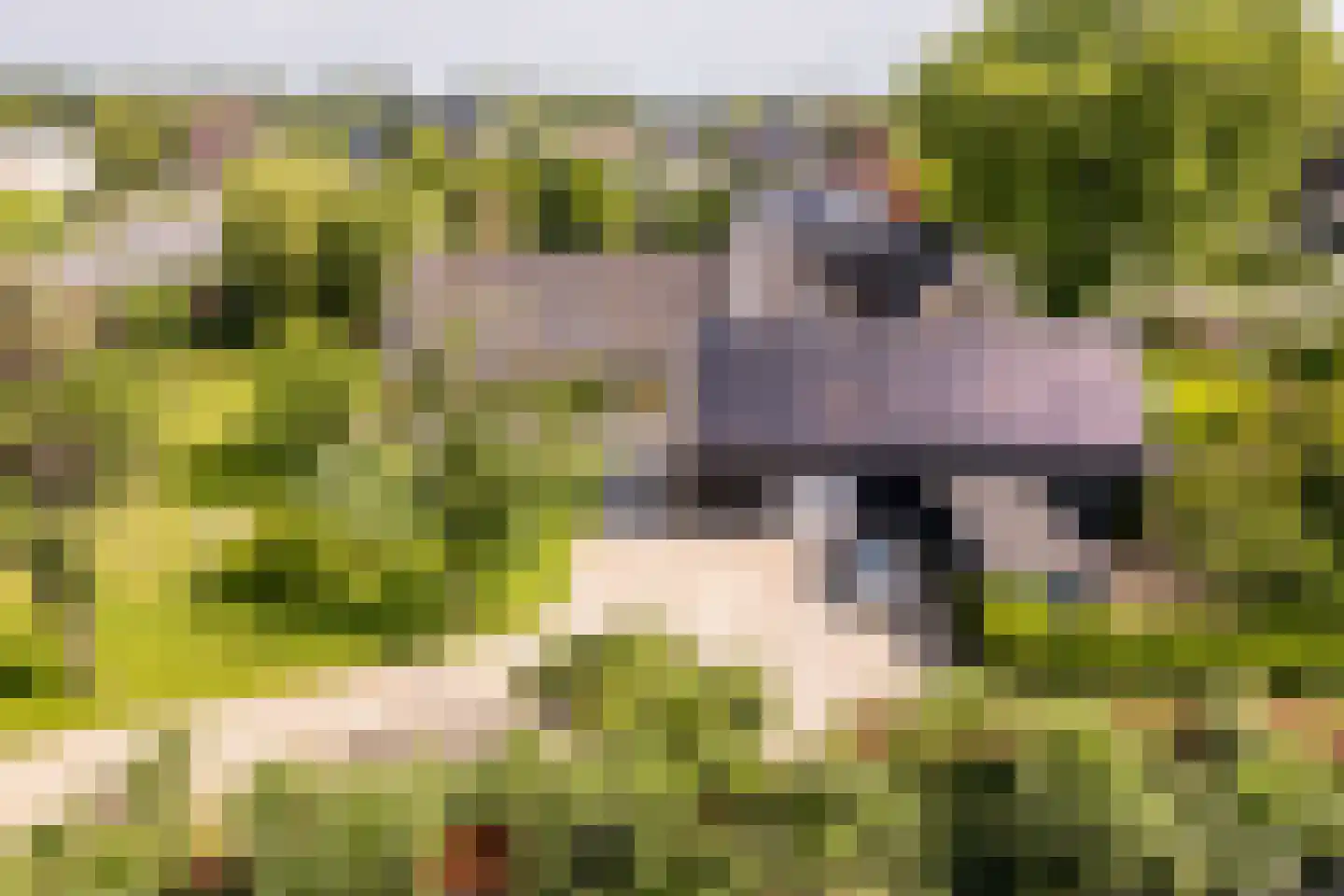 's-Gravenweg 240 Nieuwerkerk aan den IJssel thumbnail 70