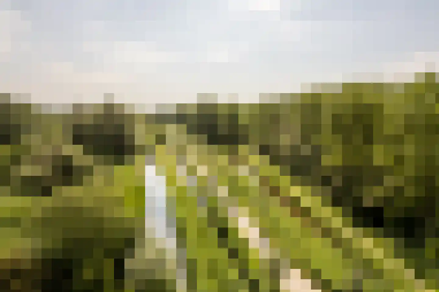 's-Gravenweg 240 Nieuwerkerk aan den IJssel thumbnail 77
