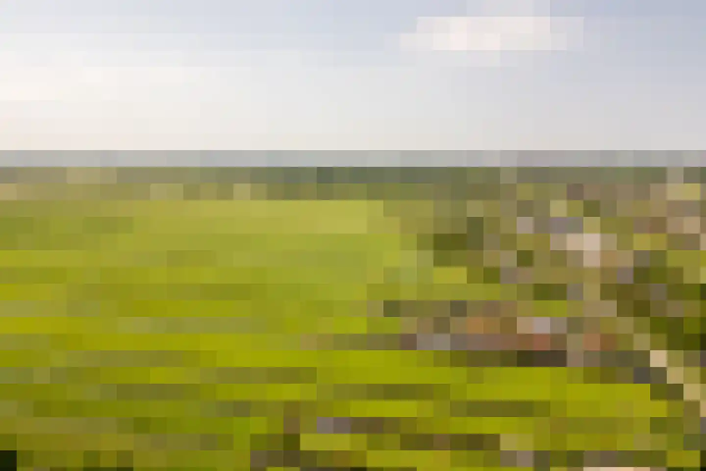 's-Gravenweg 240 Nieuwerkerk aan den IJssel thumbnail 78