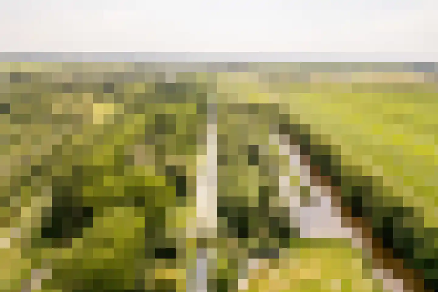 's-Gravenweg 240 Nieuwerkerk aan den IJssel thumbnail 79