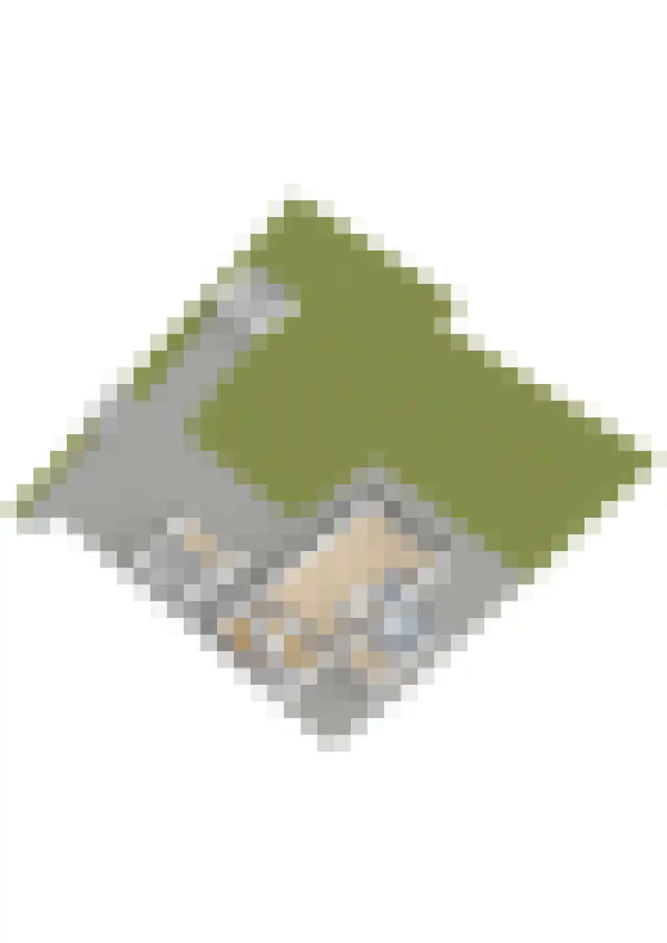 's-Gravenweg 240 Nieuwerkerk aan den IJssel thumbnail 89
