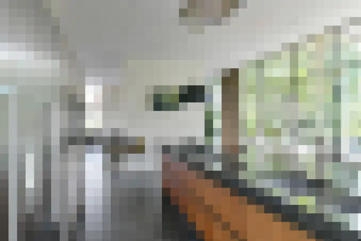 's-Gravenweg 250 Capelle aan den IJssel thumbnail 12