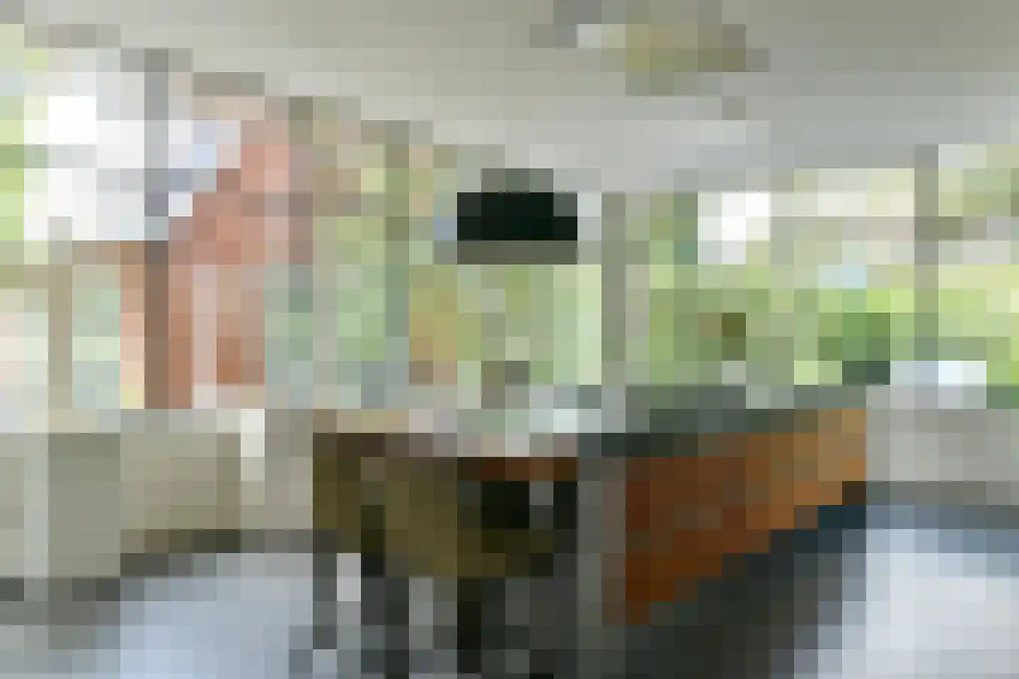 's-Gravenweg 250 Capelle aan den IJssel thumbnail 14