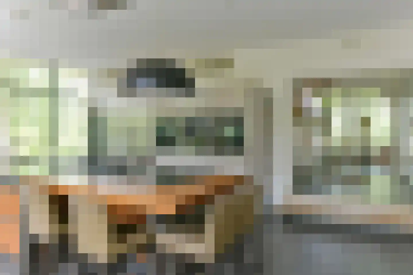 's-Gravenweg 250 Capelle aan den IJssel thumbnail 15