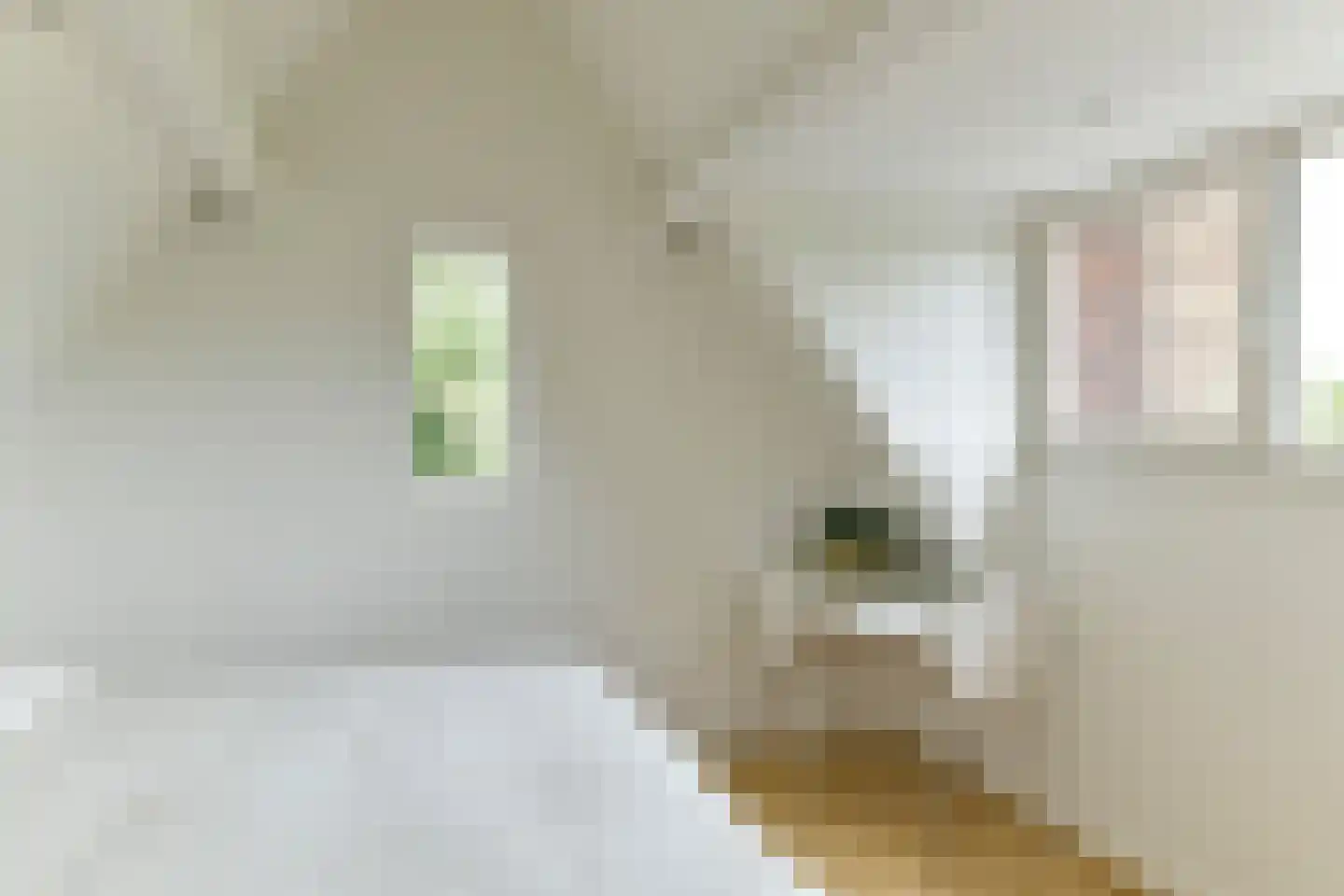 's-Gravenweg 250 Capelle aan den IJssel thumbnail 25