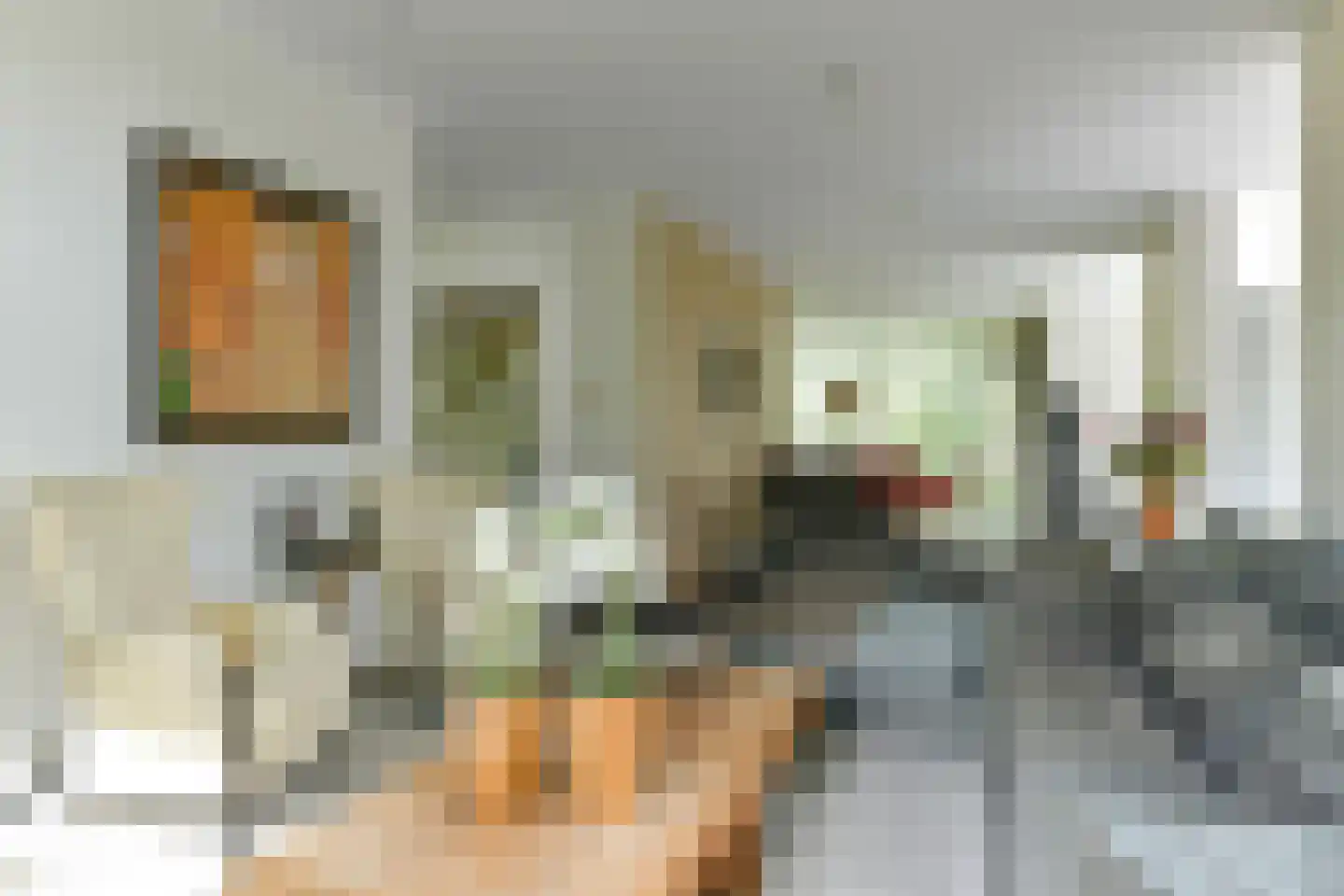 's-Gravenweg 250 Capelle aan den IJssel thumbnail 5
