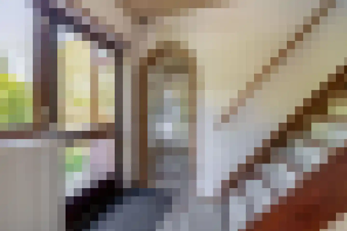 's-Gravenweg 289 Capelle aan den IJssel thumbnail 13