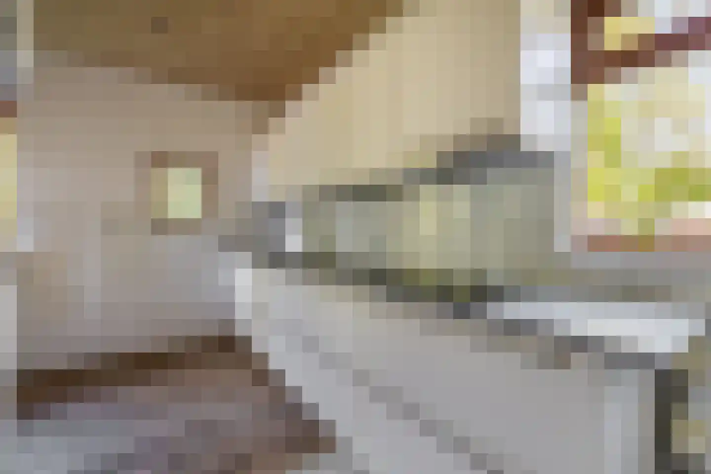's-Gravenweg 289 Capelle aan den IJssel thumbnail 21