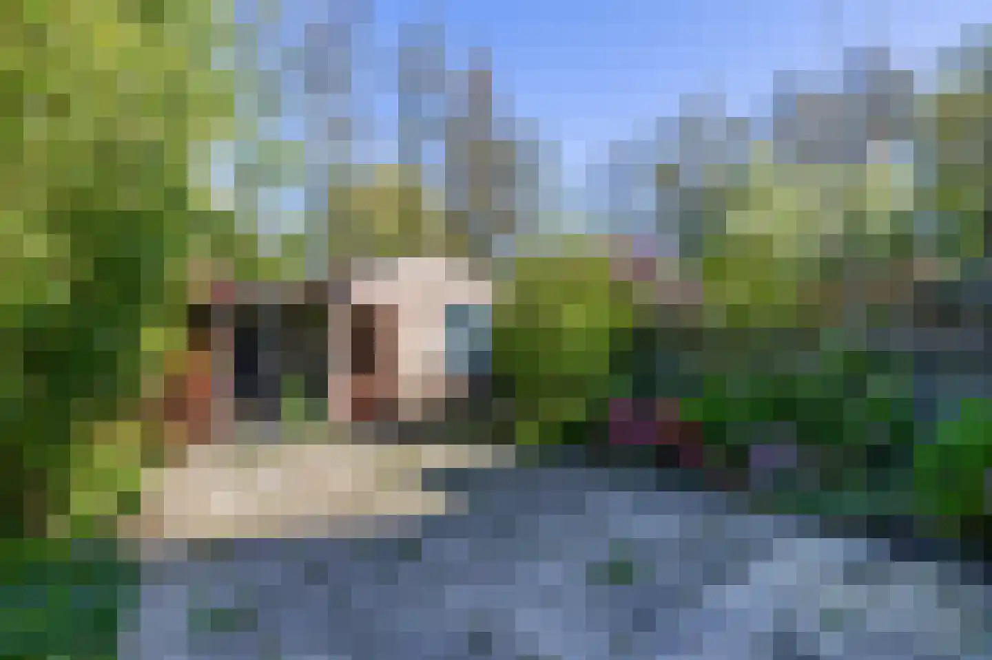 's-Gravenweg 289 Capelle aan den IJssel thumbnail 22