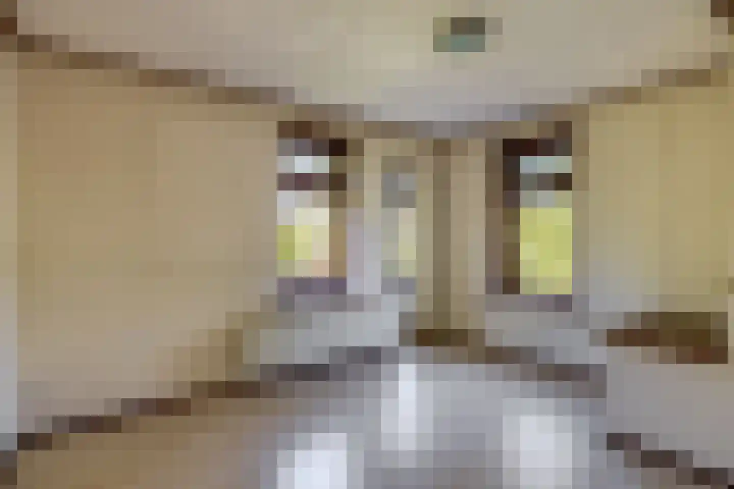 's-Gravenweg 289 Capelle aan den IJssel thumbnail 30
