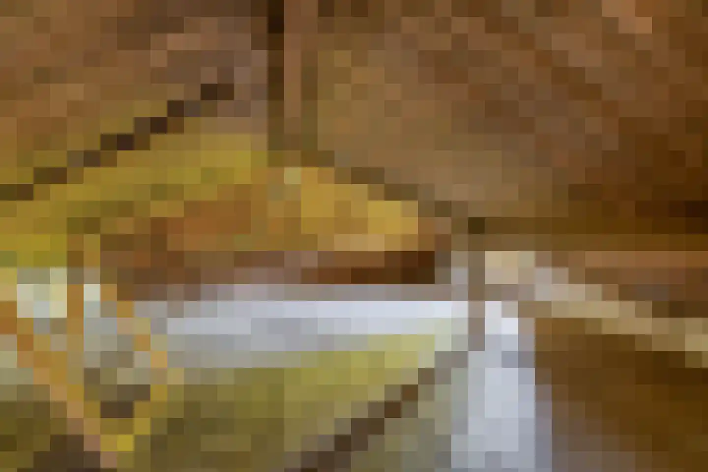 's-Gravenweg 289 Capelle aan den IJssel thumbnail 32