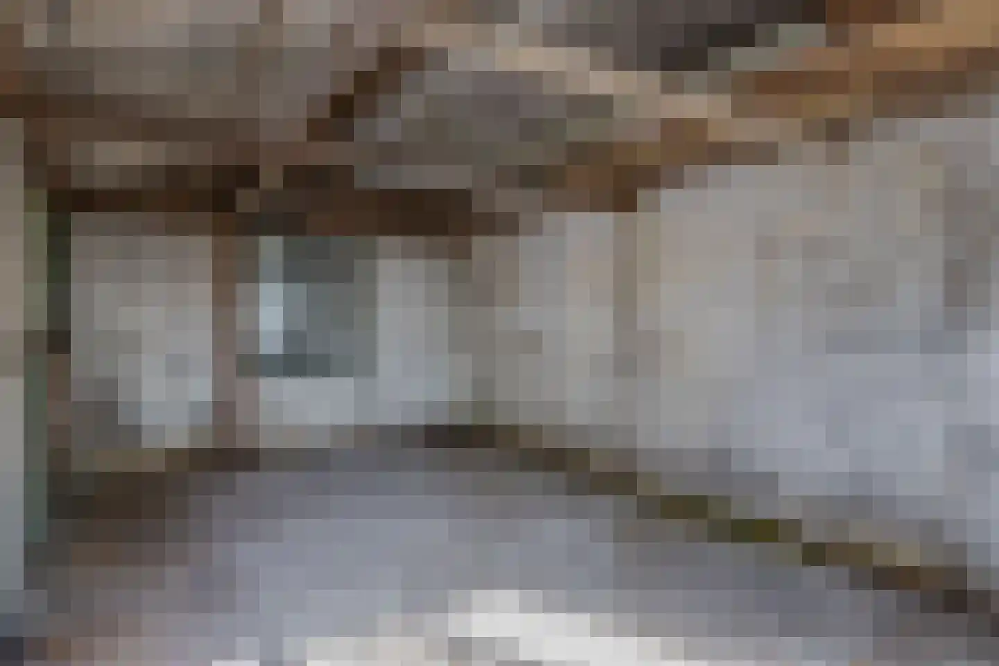 's-Gravenweg 289 Capelle aan den IJssel thumbnail 34