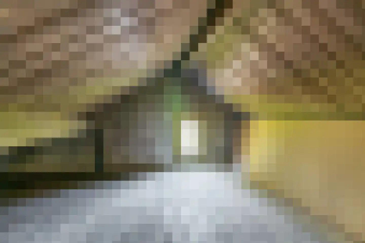 's-Gravenweg 289 Capelle aan den IJssel thumbnail 38