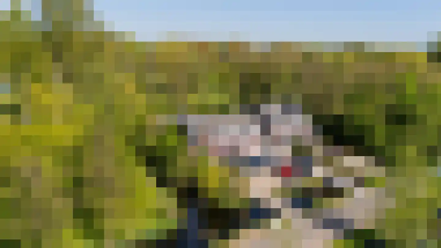 's-Gravenweg 289 Capelle aan den IJssel thumbnail 43
