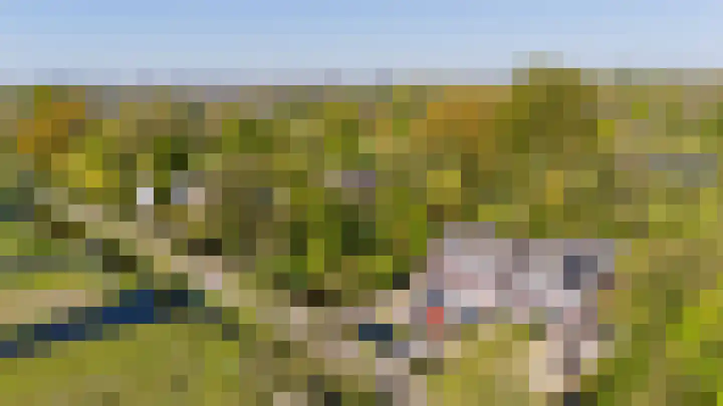 's-Gravenweg 289 Capelle aan den IJssel thumbnail 44