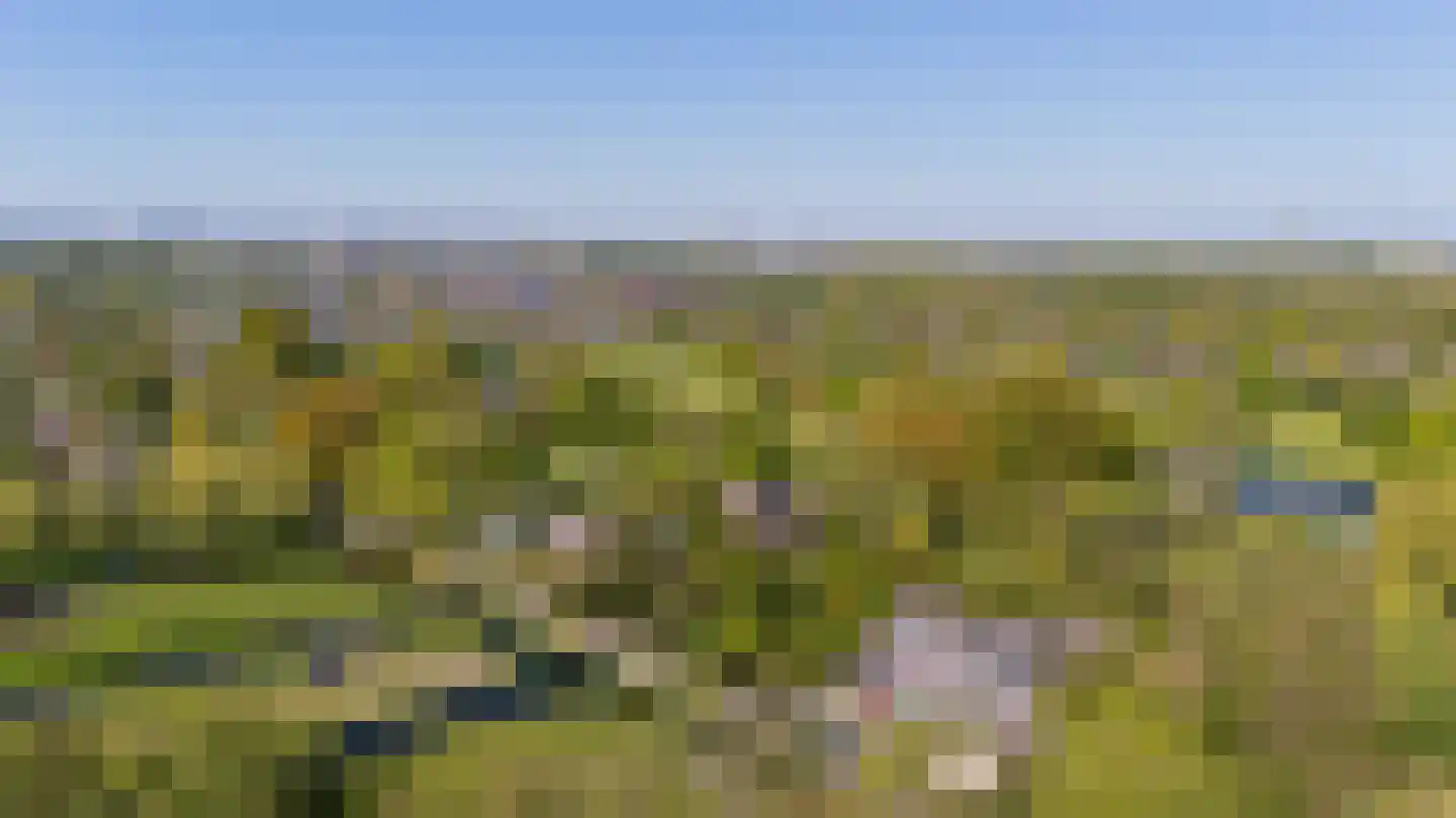's-Gravenweg 289 Capelle aan den IJssel thumbnail 45