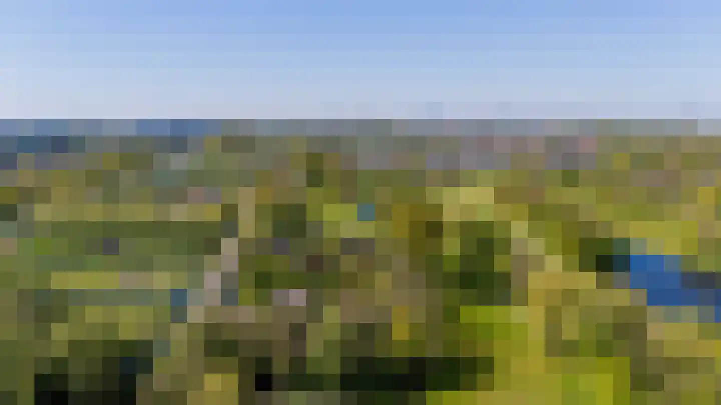 's-Gravenweg 289 Capelle aan den IJssel thumbnail 46
