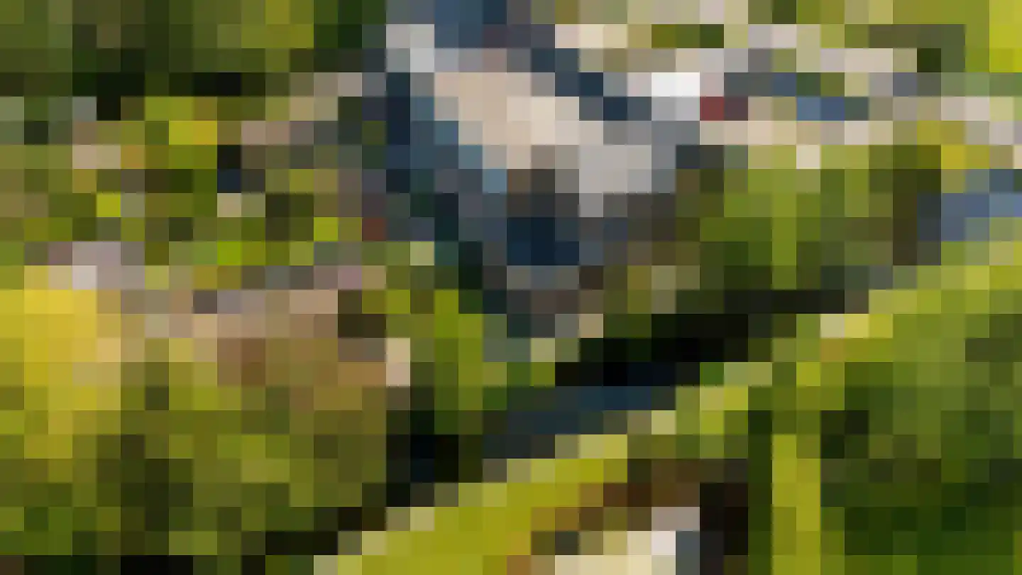 's-Gravenweg 289 Capelle aan den IJssel thumbnail 47