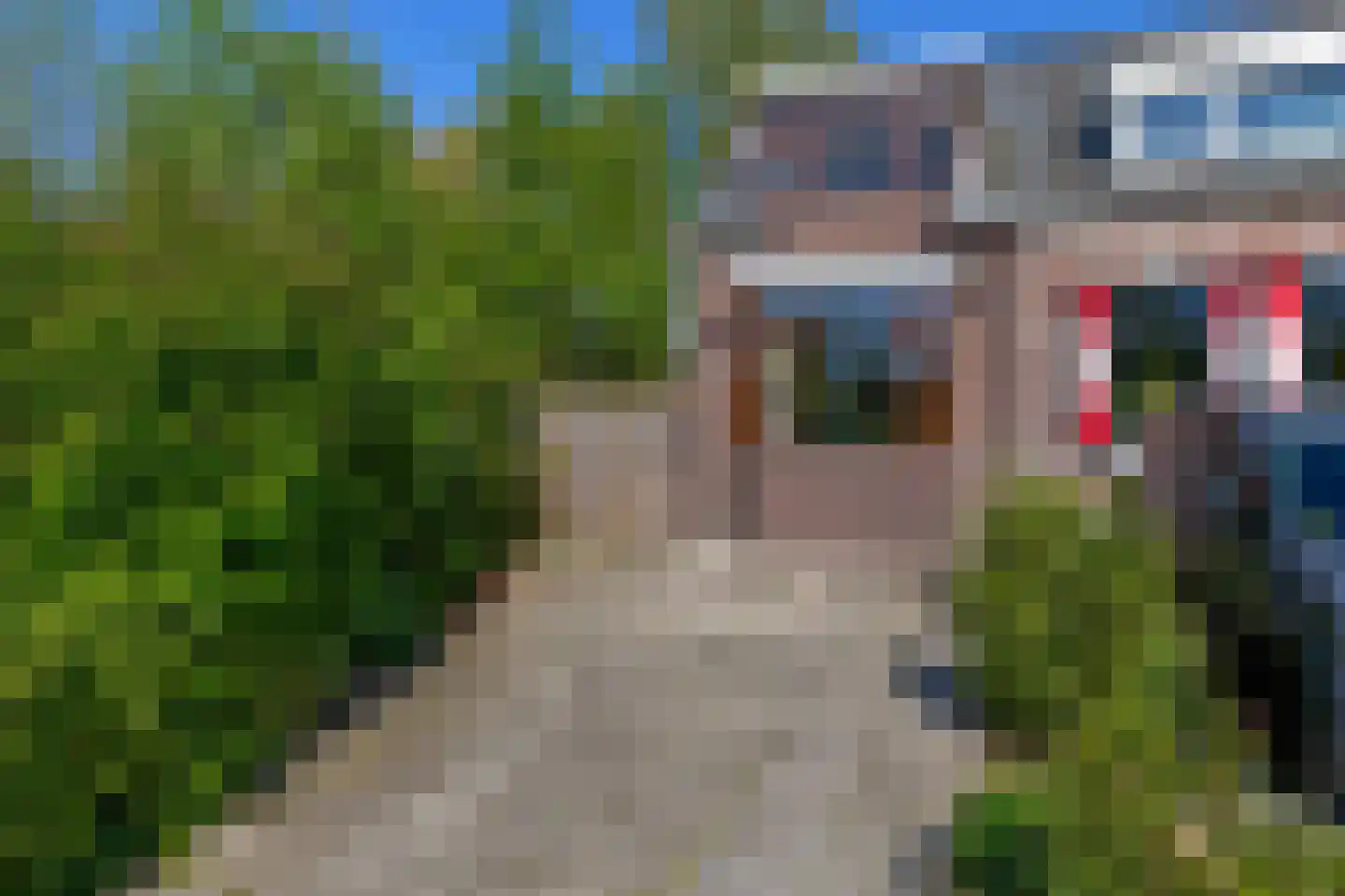 's-Gravenweg 289 Capelle aan den IJssel thumbnail 5