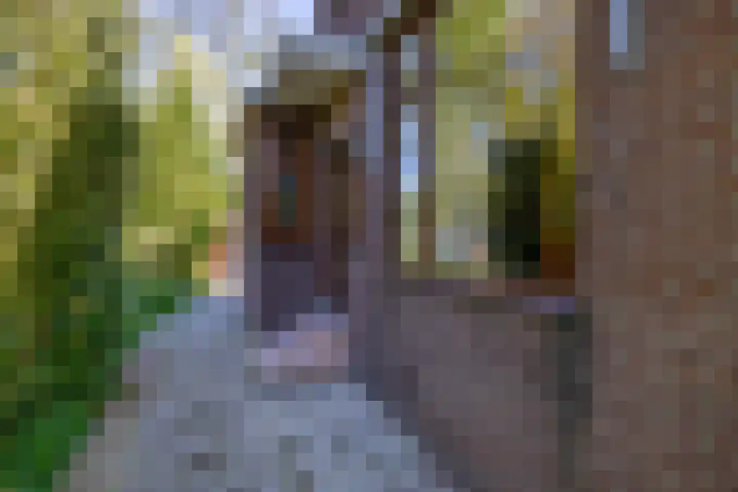 's-Gravenweg 289 Capelle aan den IJssel thumbnail 8