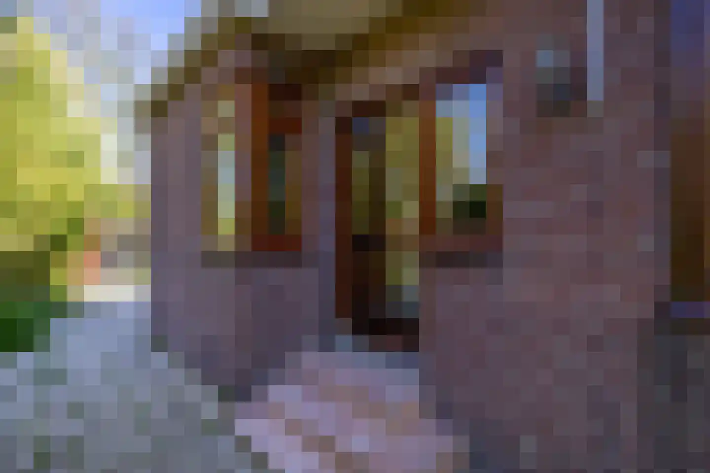 's-Gravenweg 289 Capelle aan den IJssel thumbnail 9