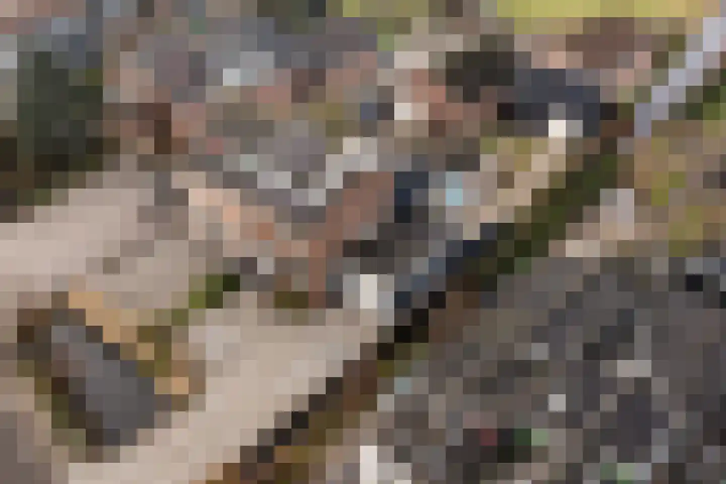 's-Gravenweg 292 b Nieuwerkerk aan den IJssel thumbnail 10
