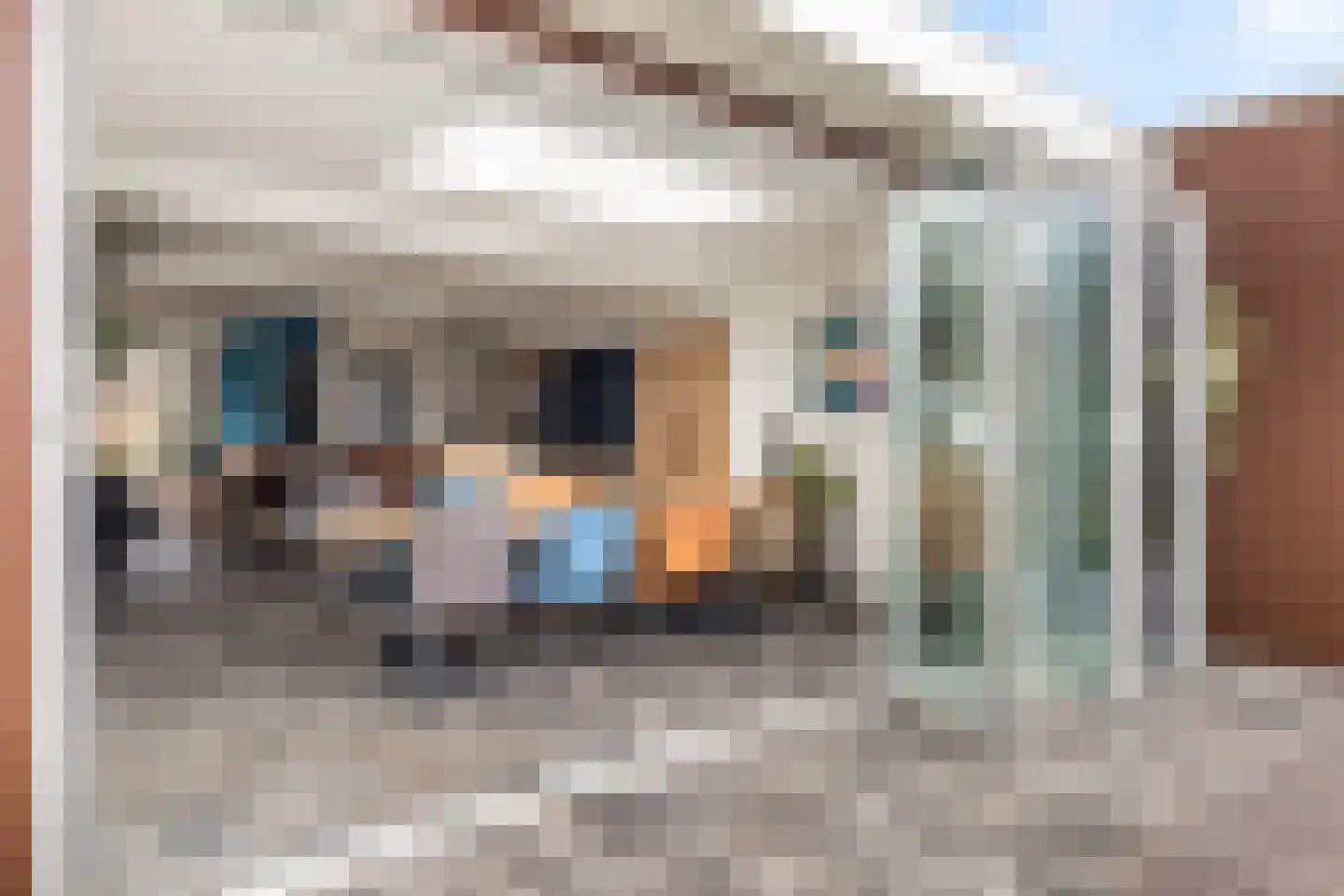 's-Gravenweg 292 b Nieuwerkerk aan den IJssel thumbnail 43
