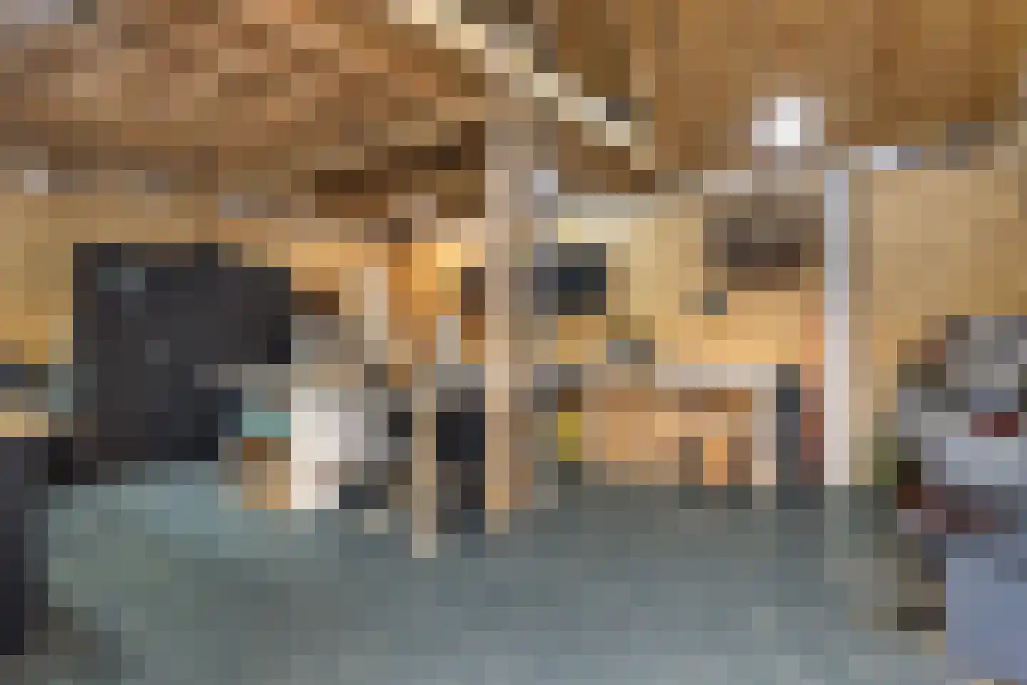 's-Gravenweg 292 b Nieuwerkerk aan den IJssel thumbnail 68