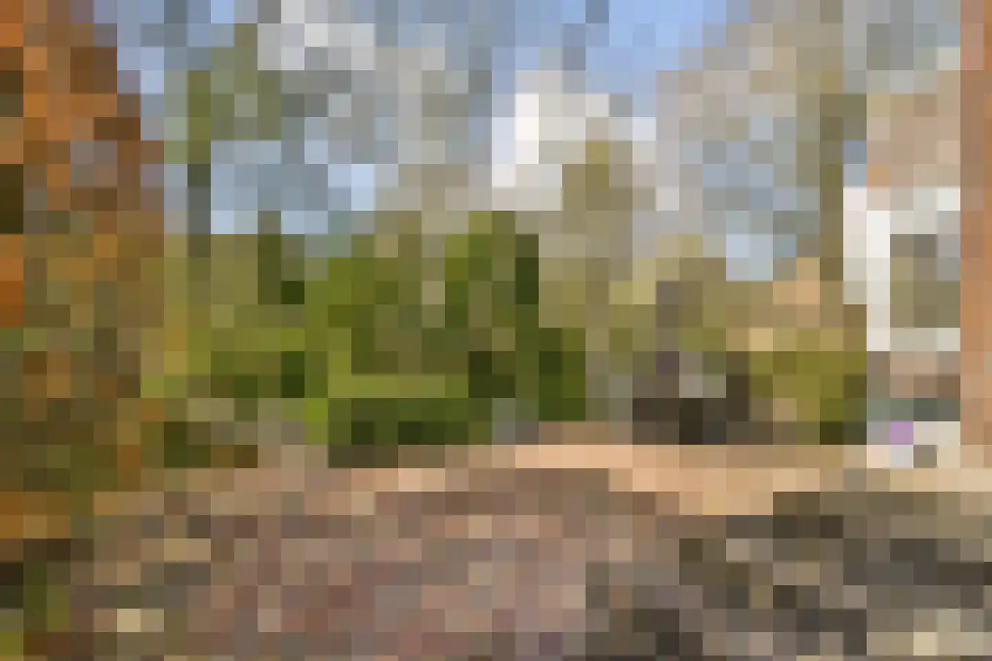 's-Gravenweg 309 Rotterdam thumbnail 17