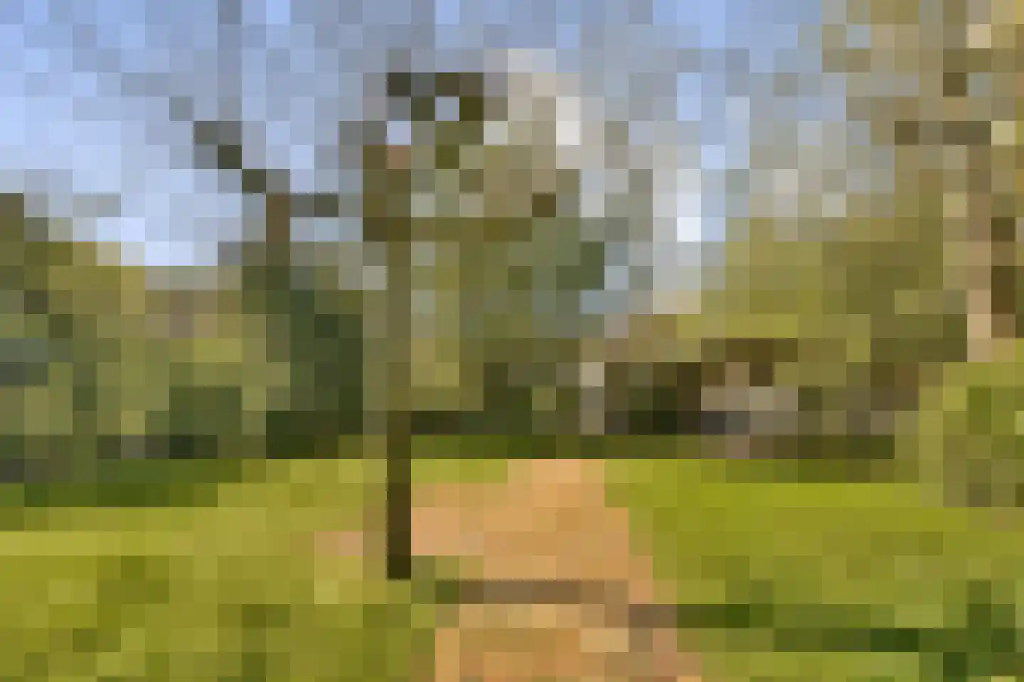's-Gravenweg 309 Rotterdam thumbnail 19