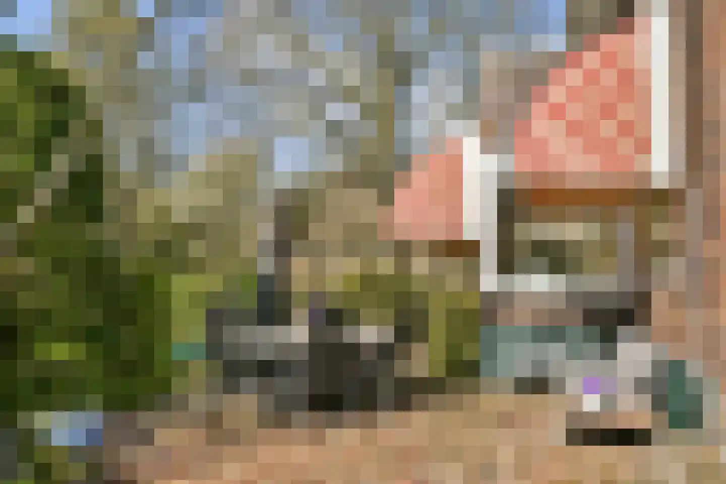 's-Gravenweg 309 Rotterdam thumbnail 21