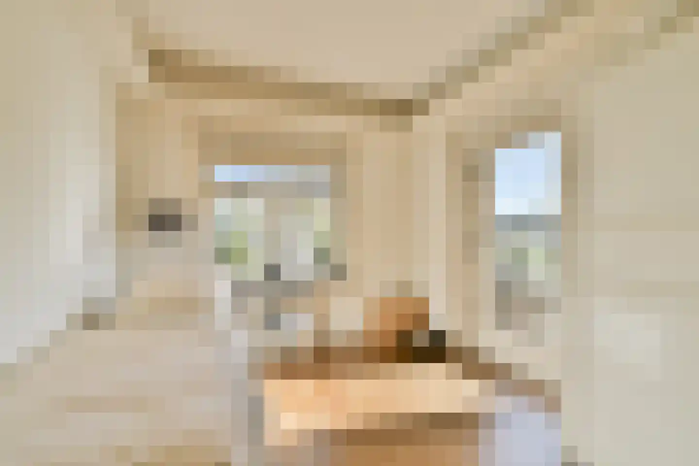 's-Gravenweg 309 Rotterdam thumbnail 37