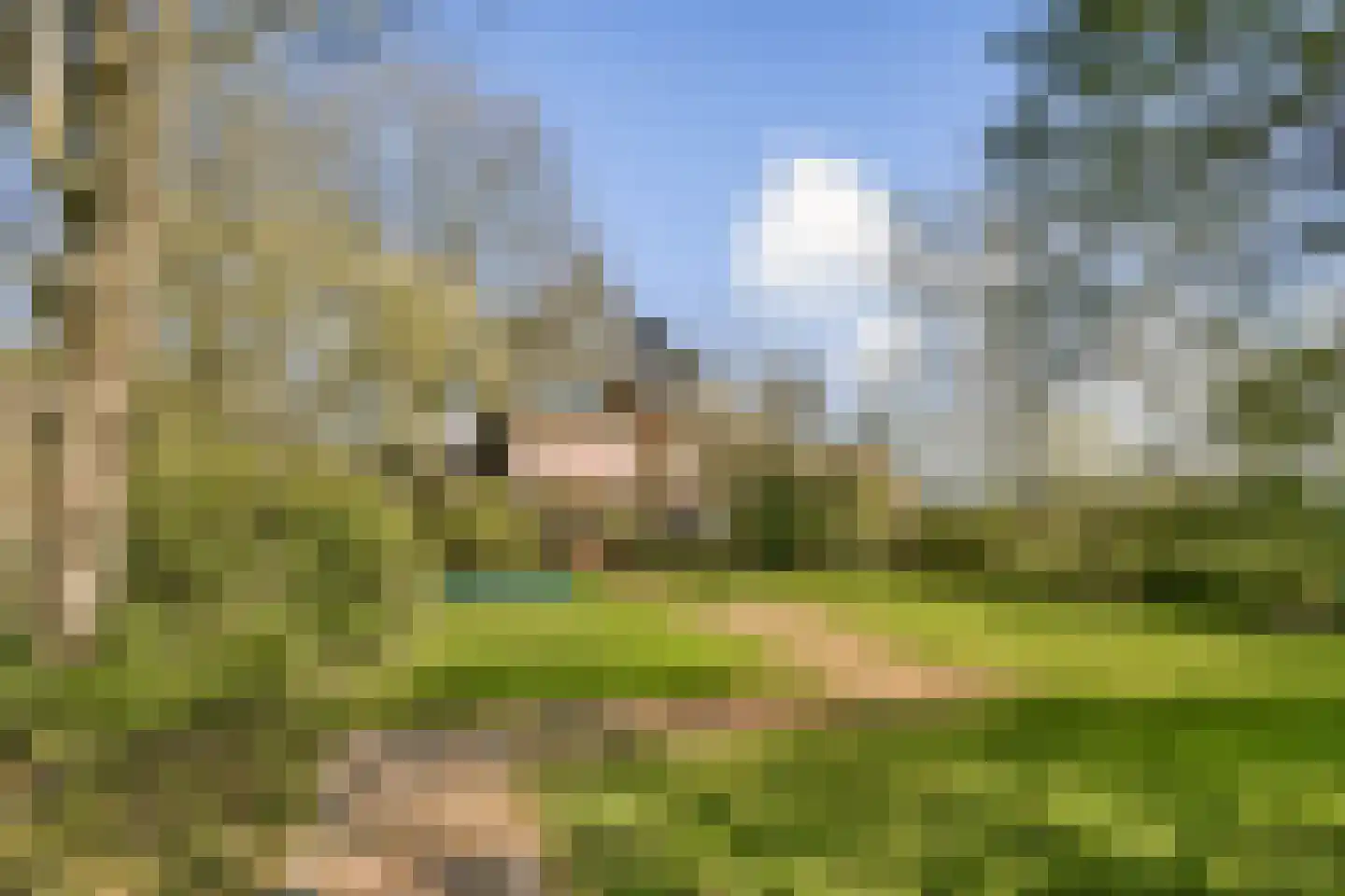 's-Gravenweg 309 Rotterdam thumbnail 4