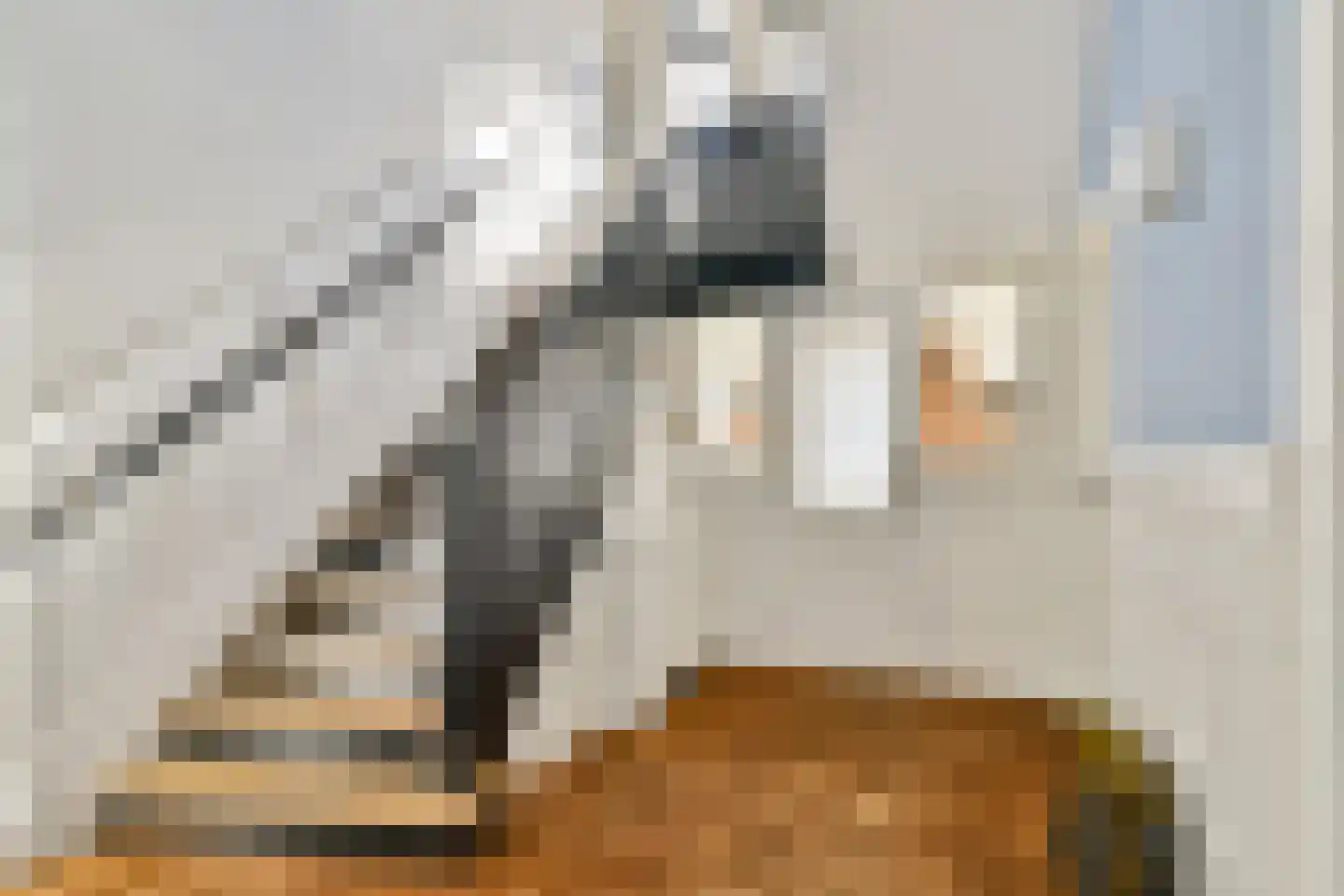 's-Gravenweg 309 Rotterdam thumbnail 7