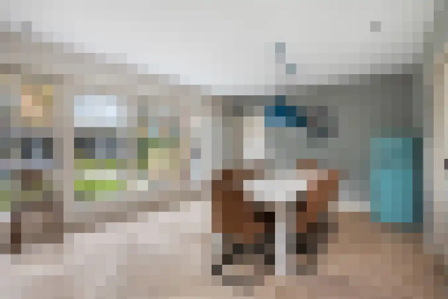 's-Gravenweg 314 b Nieuwerkerk aan den IJssel thumbnail 10