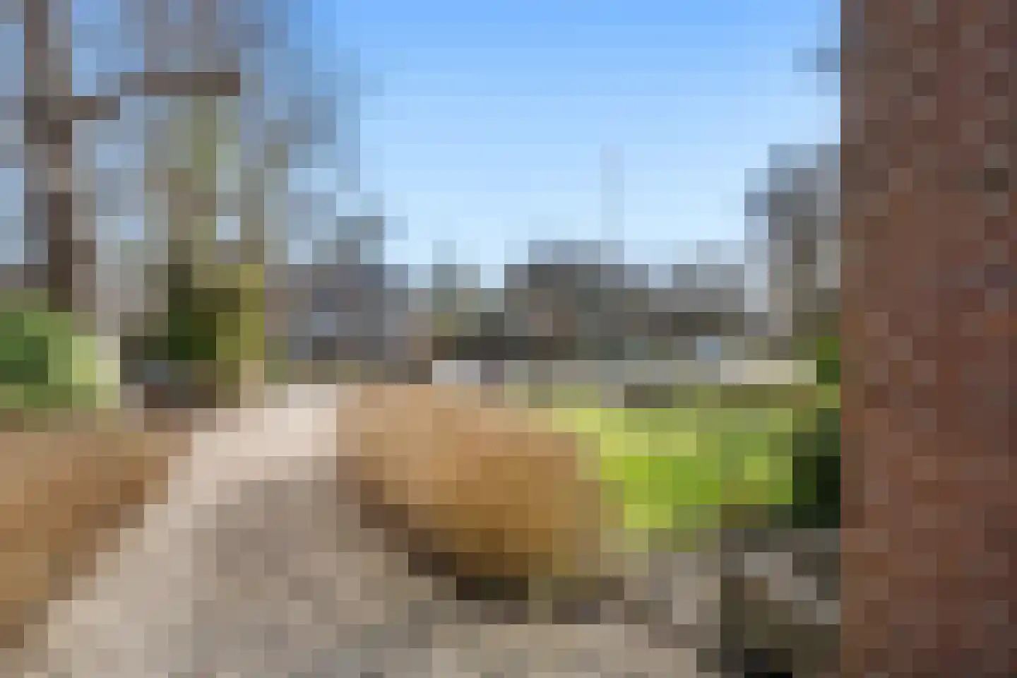 's-Gravenweg 314 b Nieuwerkerk aan den IJssel thumbnail 33