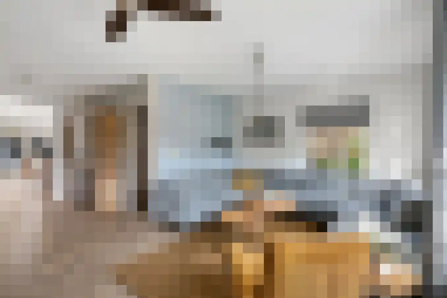 's-Gravenweg 314 b Nieuwerkerk aan den IJssel thumbnail 5