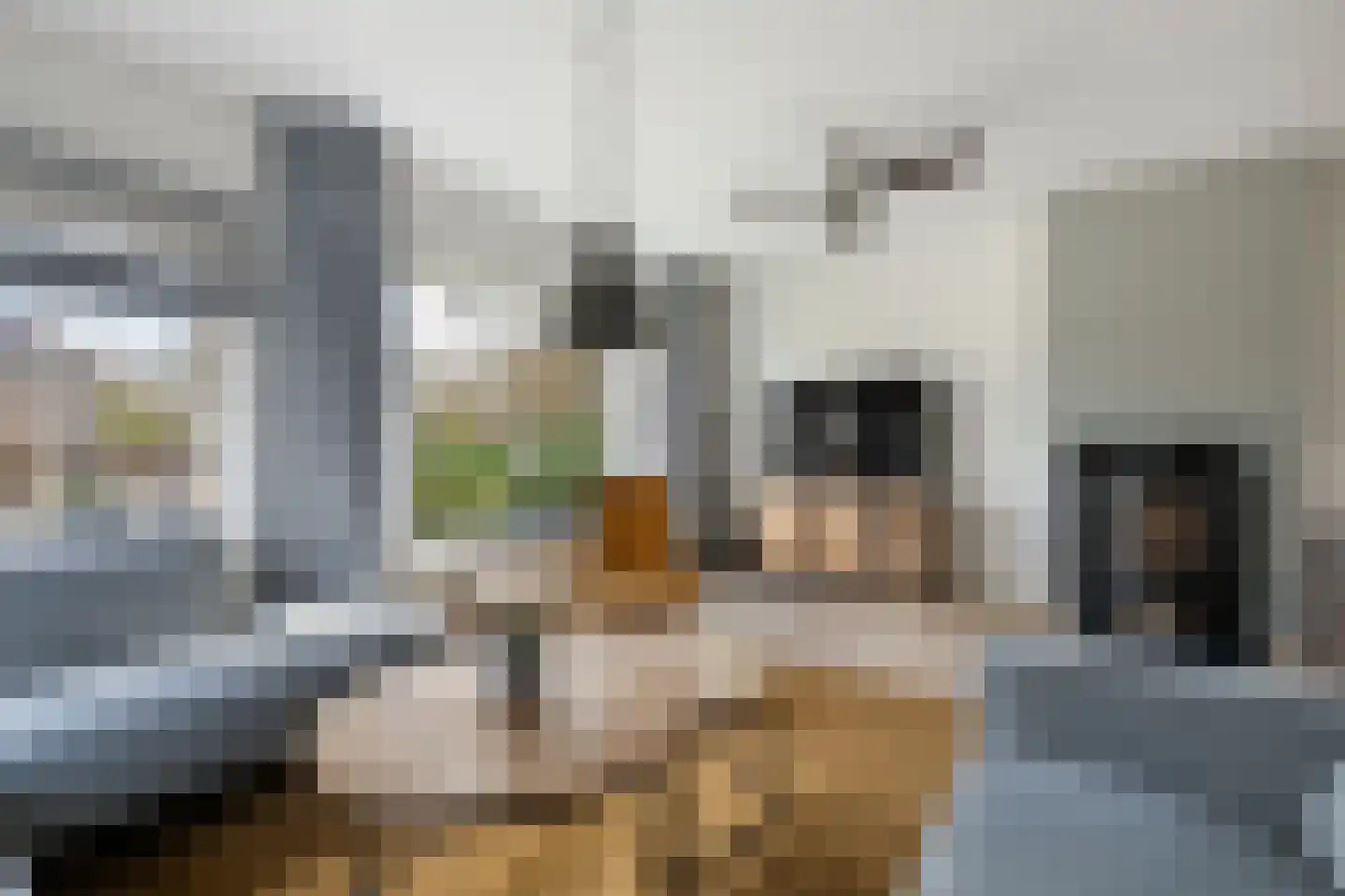 's-Gravenweg 314 b Nieuwerkerk aan den IJssel thumbnail 7