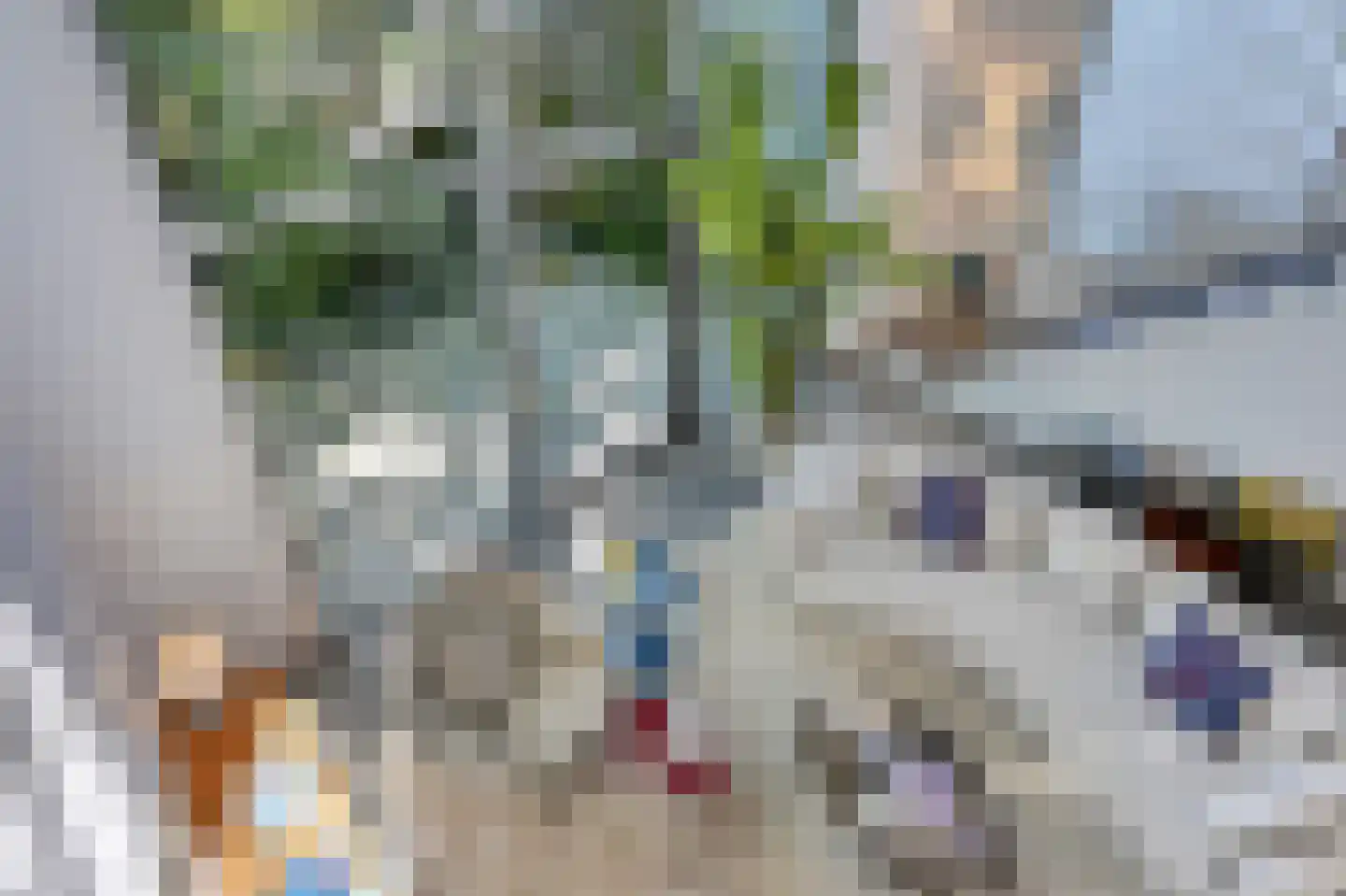 's-Gravenweg 314 Rotterdam thumbnail 13