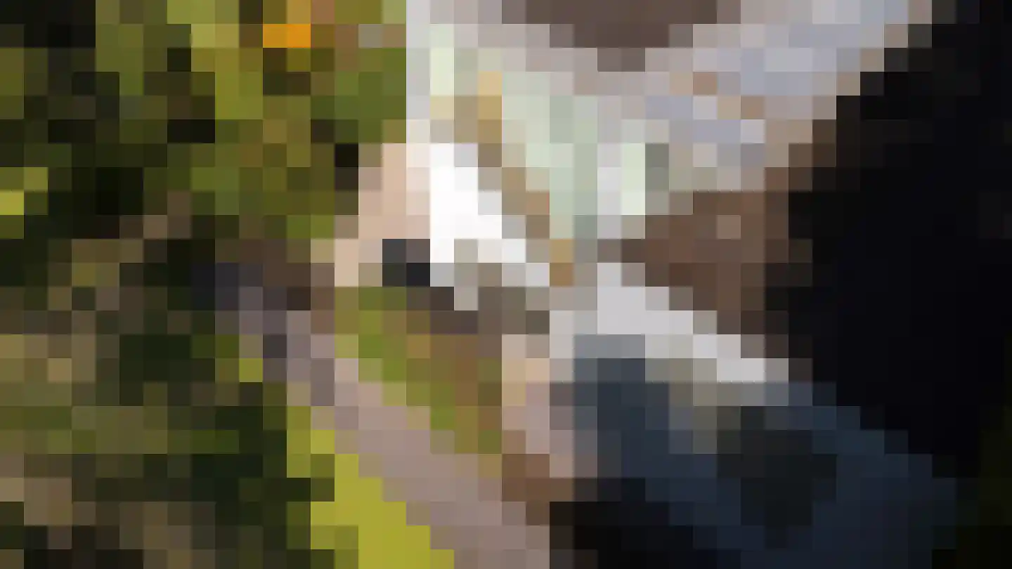 's-Gravenweg 314 Rotterdam thumbnail 23