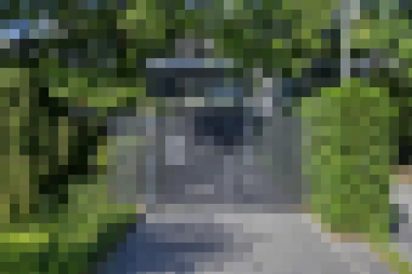 's-Gravenweg 314 Rotterdam thumbnail 24