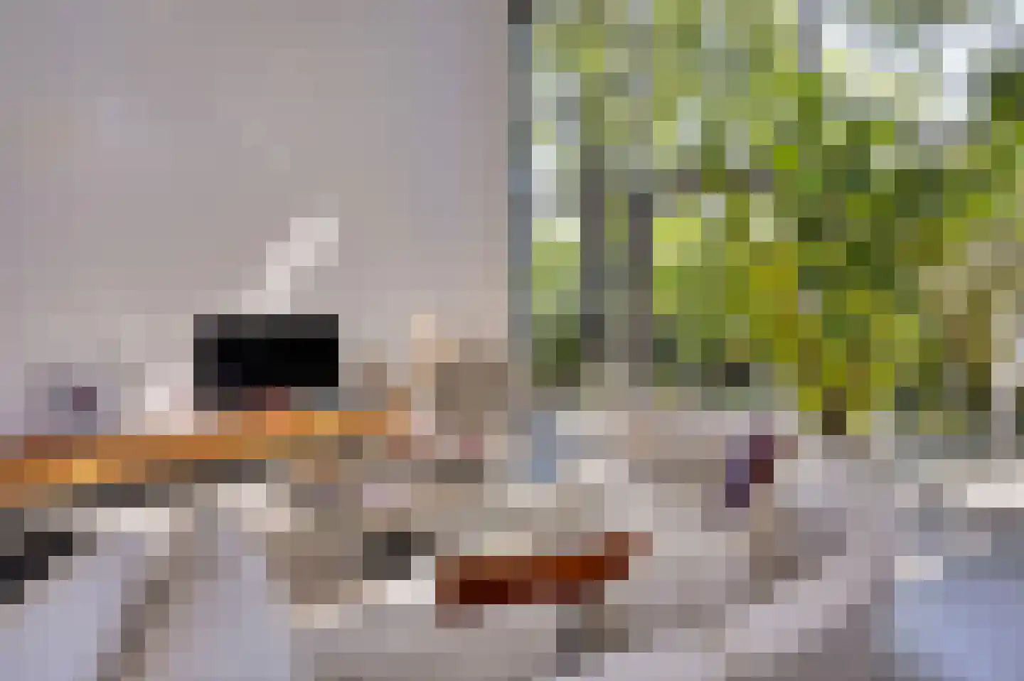 's-Gravenweg 314 Rotterdam thumbnail 5